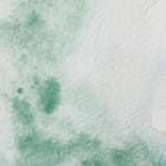 Terre Verte